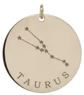 14k gold constellation & zodiac medium disc charm