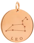 14k gold constellation & zodiac medium disc charm