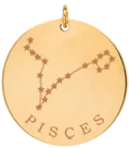 14k gold constellation & zodiac medium disc charm