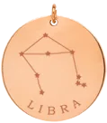 14k gold constellation & zodiac medium disc charm