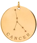 14k gold constellation & zodiac medium disc charm