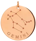 14k gold constellation & zodiac medium disc charm