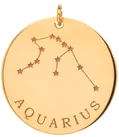 14k gold constellation & zodiac medium disc charm