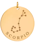 14k gold constellation & zodiac medium disc charm