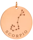 14k gold constellation & zodiac medium disc charm