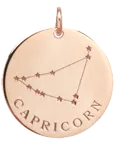 14k gold constellation & zodiac medium disc charm