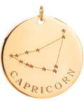 14k gold constellation & zodiac medium disc charm