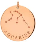 14k gold constellation & zodiac medium disc charm