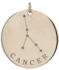 14k gold constellation & zodiac medium disc charm