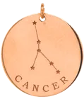 14k gold constellation & zodiac medium disc charm