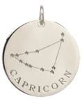 14k gold constellation & zodiac medium disc charm