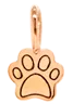 14k Midi Bitty Dog Paw Charm