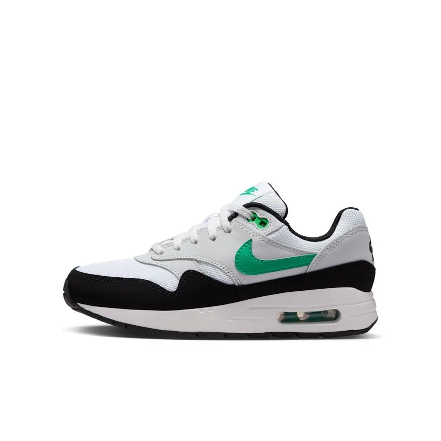 Air Max 1 DZ3307-108