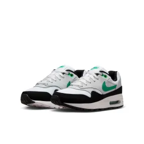 Air Max 1 DZ3307-108