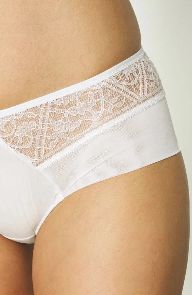 Alto Evolutive Brief