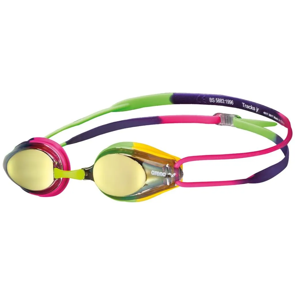 Arena Tracks Junior Mirror Racing Goggle | Violet-Fuchsia Green