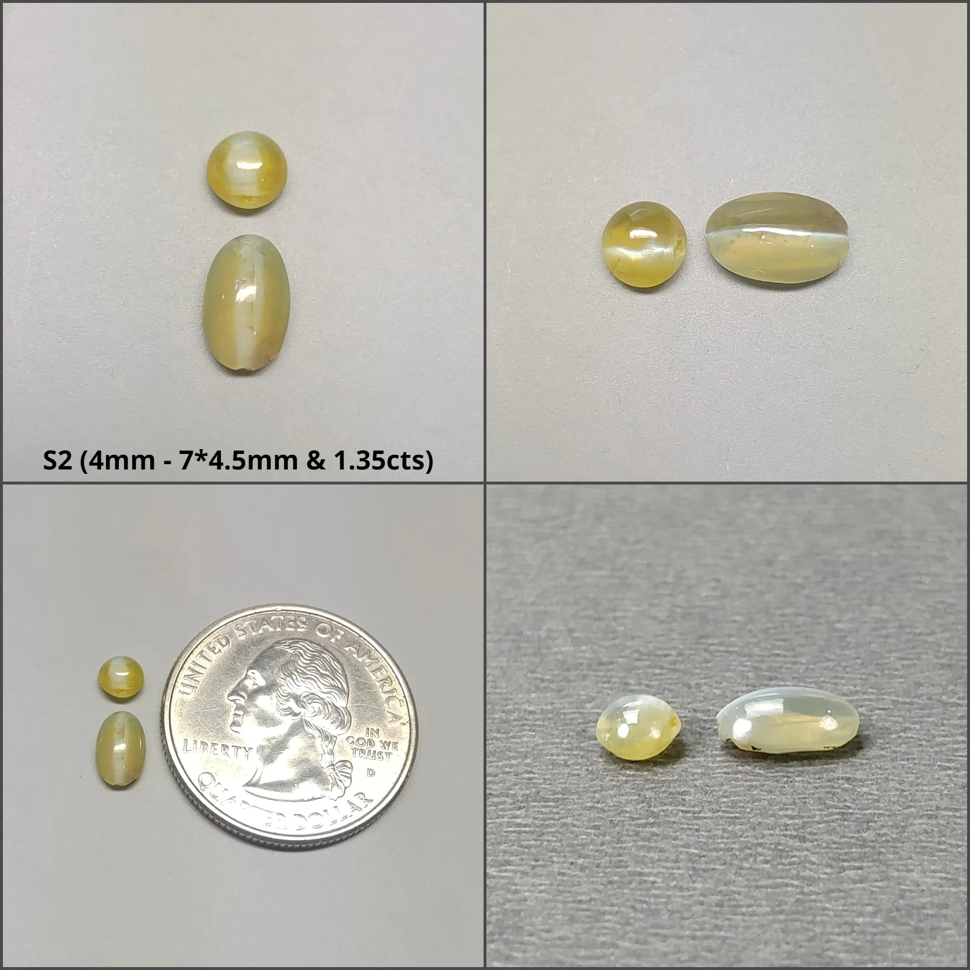 CHRYSOBERYL CAT'S EYE Gemstone Cabochon : Natural Untreated Unheated Cat's Eye Round And Oval Shape 2pcs 3pcs 6pcs 10pcs